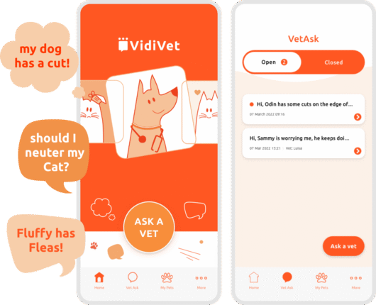 VidiVet App _ VetAsk Ask a Vet & Speech Bubbles